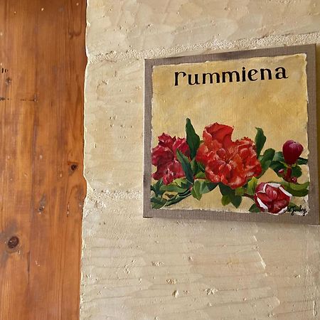 Xagħra Botanica B&B المظهر الخارجي الصورة