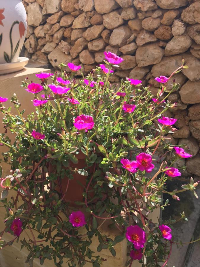 Xagħra Botanica B&B المظهر الخارجي الصورة