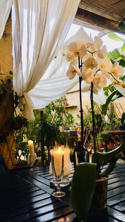 Xagħra Botanica B&B المظهر الخارجي الصورة