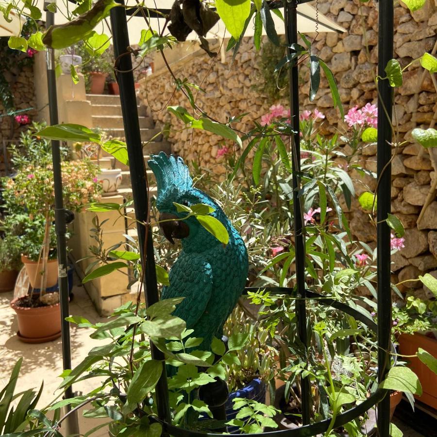 Xagħra Botanica B&B المظهر الخارجي الصورة